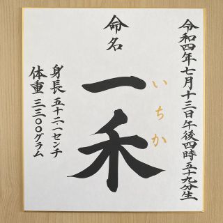 【命名書】色紙（楷書）(命名紙)