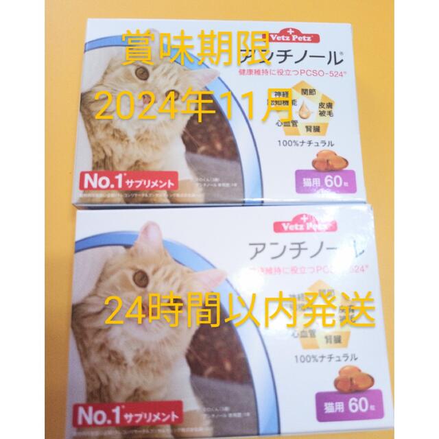 アンチノール 2箱猫用サプリメント 驚きの価格 noxcapital.de