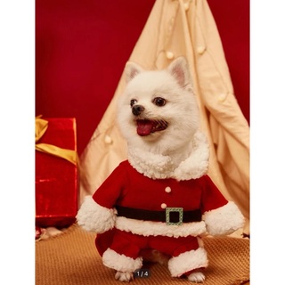 犬 ペット コスチューム コスプレ サンタ クリスマス(犬)