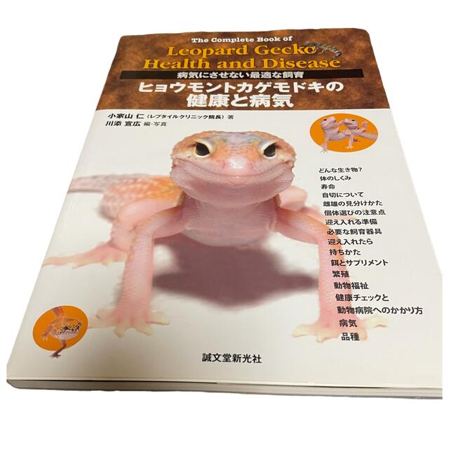 ヒョウモントカゲモドキの健康と病気 病気にさせない最適な飼育 エンタメ/ホビーの本(住まい/暮らし/子育て)の商品写真