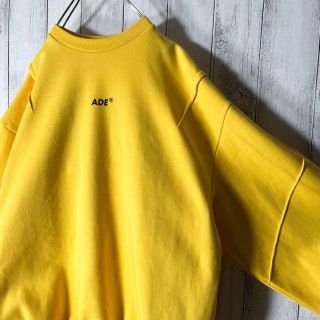ダイゾー ナチュラル 【極美品】アーダーエラー 刺繍 プリント