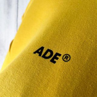 ダイゾー ナチュラル 【極美品】アーダーエラー 刺繍 プリント