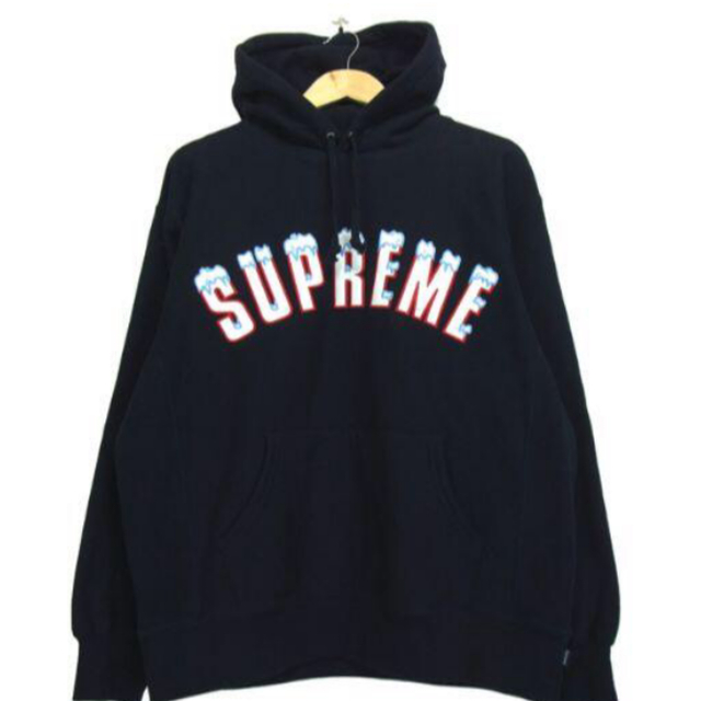 Supreme Icy Arc Hooded Sweatshirt L 20AW