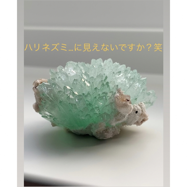 アポフィライト 鉱物標本 - library.iainponorogo.ac.id