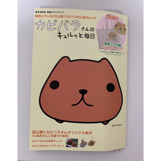 宝島社(タカラジマシャ)の最終値下げ　カピバラさんのキュルッと毎日　カピバラさん初　e-MOOK エンタメ/ホビーのおもちゃ/ぬいぐるみ(キャラクターグッズ)の商品写真