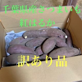 千葉県産さつまいも　紅はるか5.5キロ 訳あり品(野菜)