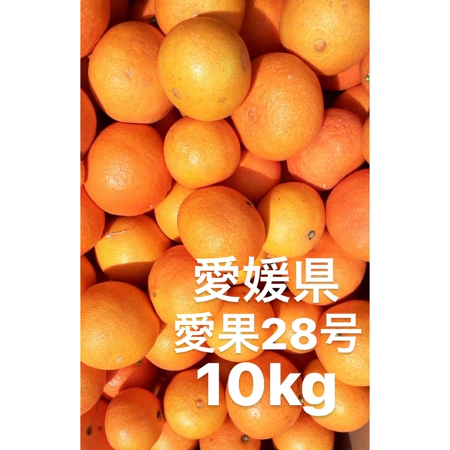 愛媛県産　愛果28号　柑橘　10kgフルーツ