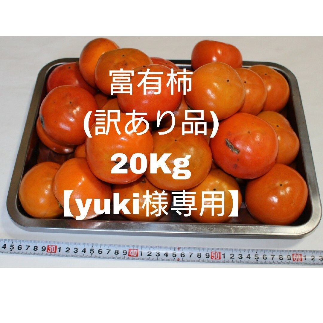 【yuki様専用】富有柿(ふゆがき) 広島県福山市松永産 約20kg 食品/飲料/酒の食品(フルーツ)の商品写真