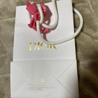 クリスチャンディオール(Christian Dior)のディオール   ミニショッパー(ショップ袋)