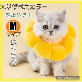 ⚫Mサイズ　エリザベスカラー　傷舐め防止　ひまわり　猫 小型犬　去勢手術　ペット(猫)