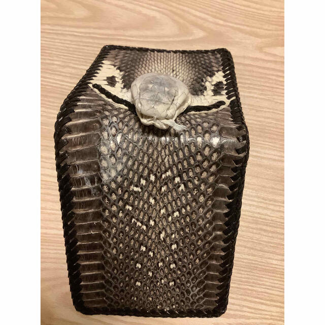 【 本物　新品 】 コブラ　スネーク　蛇　顔　剥製　ショートウォレット　j90 4
