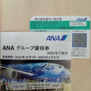 エーエヌエー(ゼンニッポンクウユ)(ANA(全日本空輸))のANA　グループ優待券(その他)