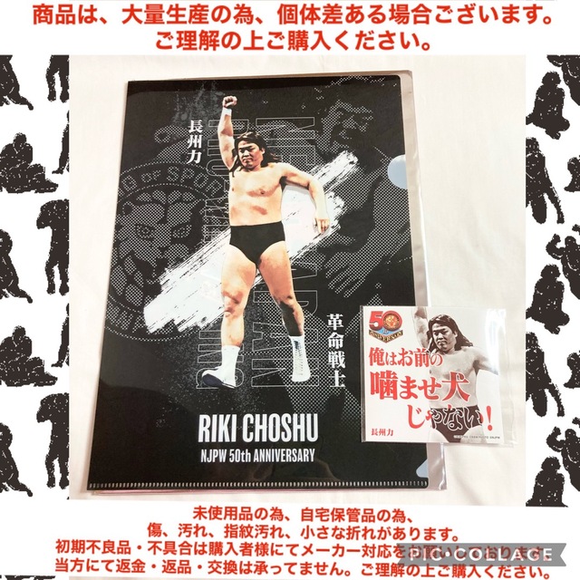 人気商品!】 新日本プロレスくじ クリアファイル 格闘技