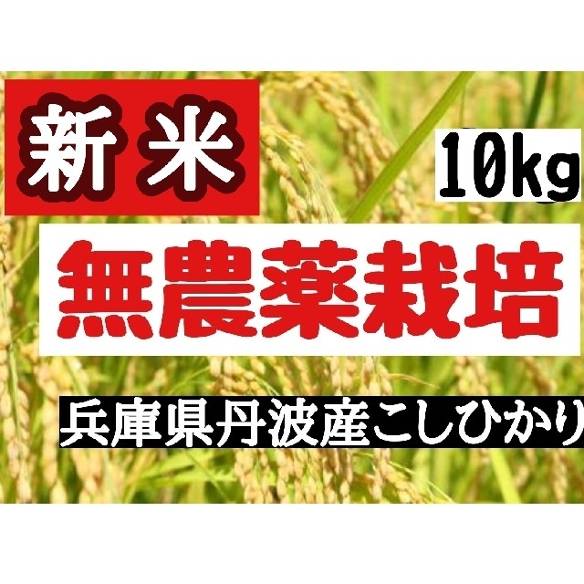 兵庫県丹波産こしひかり玄米10kg(令和4年産)