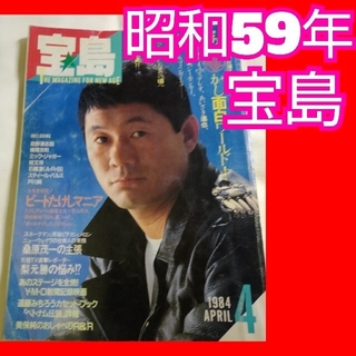 宝島 MAGAZINE  1984年 4月号(音楽/芸能)