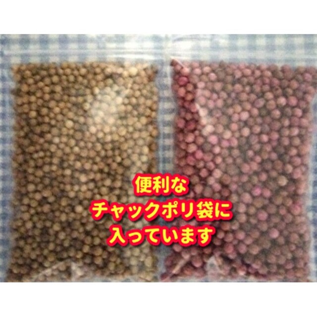 パクチー種・各種10g【合計約2000粒】★違いを楽しむ、本場ベトナム産 食品/飲料/酒の食品(野菜)の商品写真