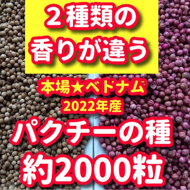 パクチー種・各種10g【合計約2000粒】★違いを楽しむ、本場ベトナム産 食品/飲料/酒の食品(野菜)の商品写真