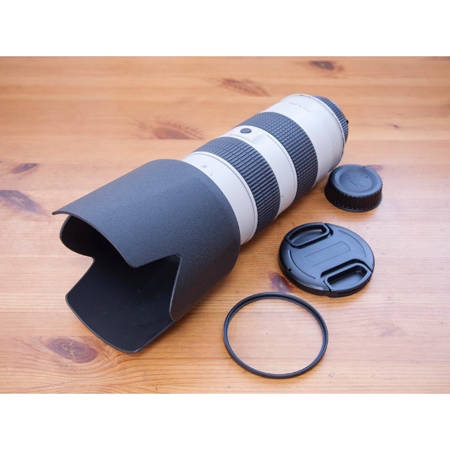 NIKON ED ニコン  AF S 80-200mm F2.8D ライトグレー