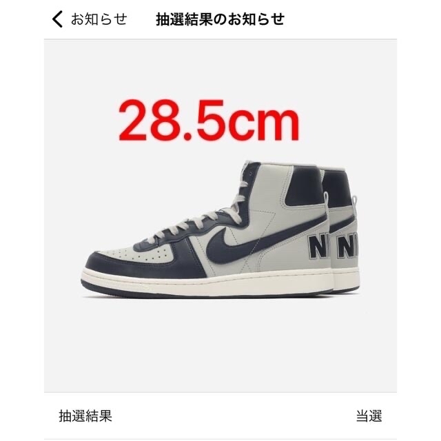 NIKE(ナイキ)のNIKE TERMINATOR HIGH OBSIDIAN 28.5cm メンズの靴/シューズ(スニーカー)の商品写真