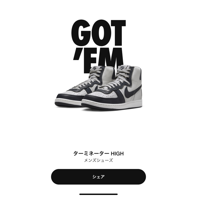 NIKE ダンク　ターミネーター