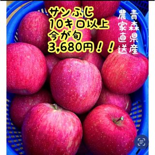 王道の林檎　ふじ　大人気　今年限定格安　農家直送　りんご(ふじ)　10キロ以上(フルーツ)