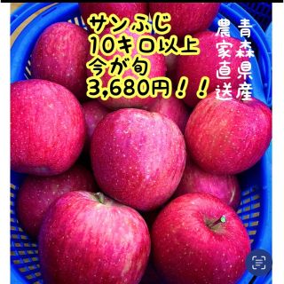 王道の林檎　ふじ　大人気　今年限定格安　農家直送　りんご(ふじ)　10キロ以上(フルーツ)