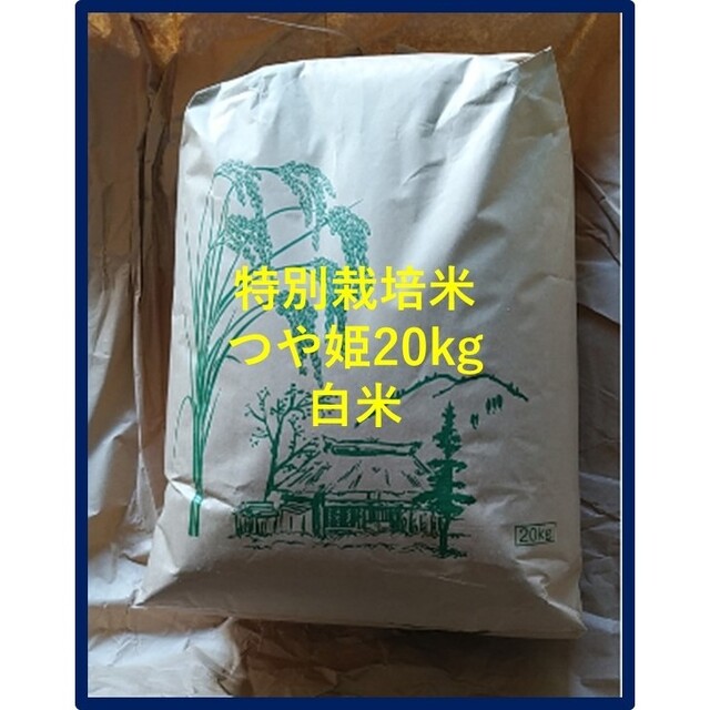 令和４年産　米/穀物　特別栽培米　つや姫白米20kg(農協出荷は一等米)山形県産