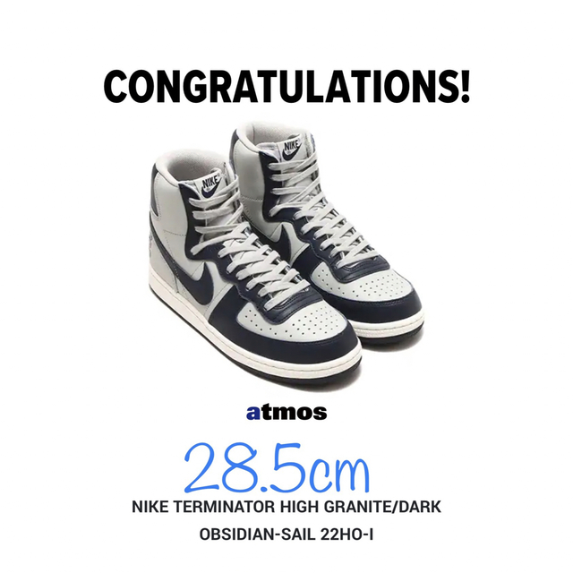 NIKE(ナイキ)のNIKE TERMINATOR HIGH OBSIDIAN 28.5cm メンズの靴/シューズ(スニーカー)の商品写真