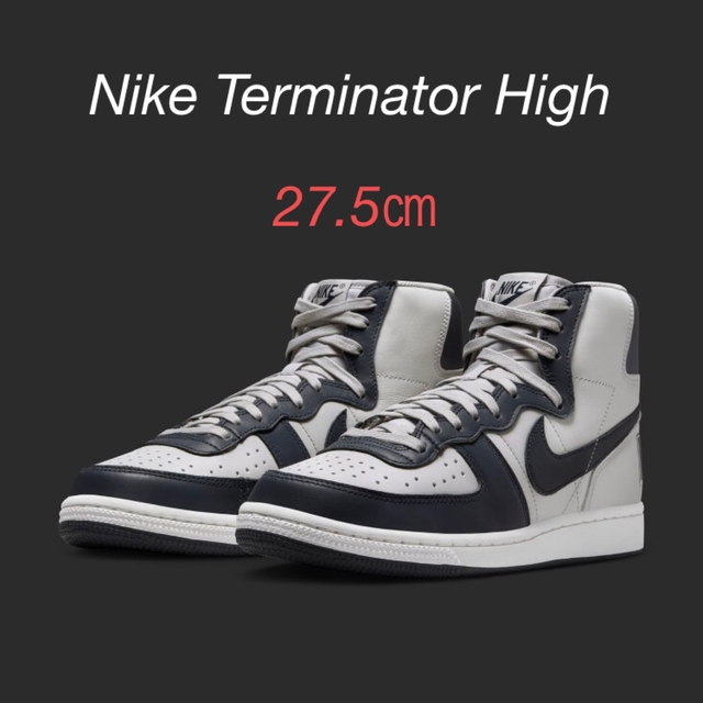Nike Terminator High 27.5