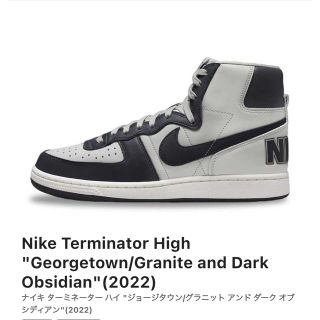 ナイキ(NIKE)のNIKE TERMINATOR HIGH OBSIDIAN 29㎝(スニーカー)