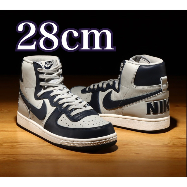 Nike Terminator High Georgetown 30cm