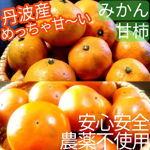 ✨安心安全！農薬不使用！自然栽培✨　丹波産　果物詰め合わせ　甘柿　みかん 食品/飲料/酒の食品(野菜)の商品写真