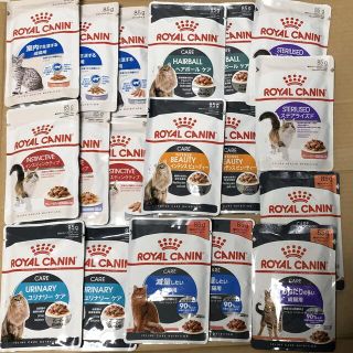 ロイヤルカナン(ROYAL CANIN)のロイヤルカナン 成猫用ウェットフード15種20点セット(ペットフード)