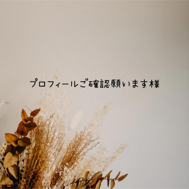 プロフィールご確認願います様専用の通販 by lilly|ラクマ
