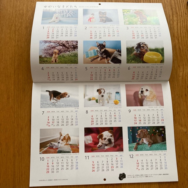 ソニー生命　壁掛けカレンダー　2023 インテリア/住まい/日用品の文房具(カレンダー/スケジュール)の商品写真