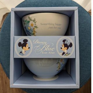 ディズニー(Disney)のDisney Blue Ever After　食器2枚セット(食器)