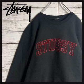 希少デザイン】 STUSSY 刺繍 センターロゴ 即完売 入手困難スウェット-