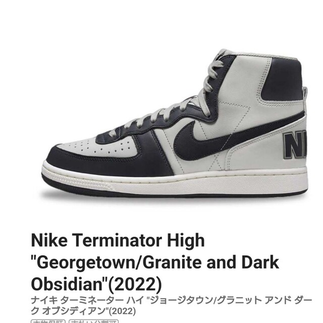 NIKE(ナイキ)のナイキ　ターミネーター メンズの靴/シューズ(スニーカー)の商品写真