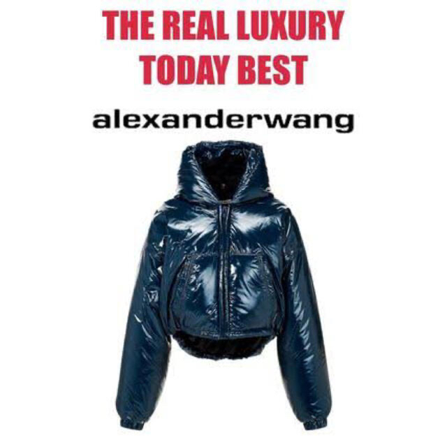 Alexander Wang - 【新品タグ付き】Alexander Wang クロップドダウン