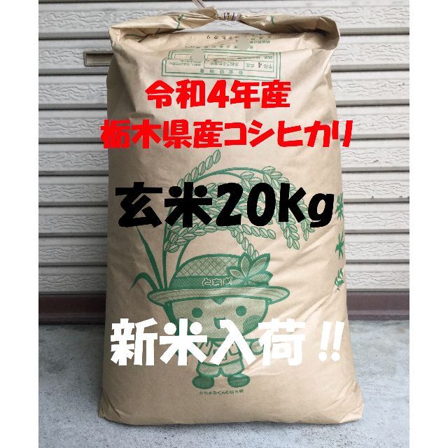 新米入荷‼　米/穀物　令和4年産　栃木県産コシヒカリ　検査1等　玄米20kg(精米無料)