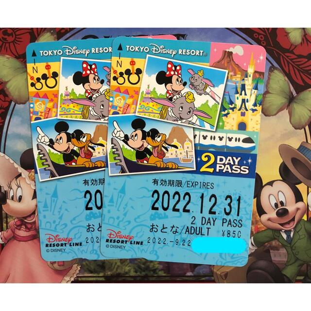 Disney(ディズニー)のディズニー リゾートライン フリー切符 2day 未使用 チケットの施設利用券(遊園地/テーマパーク)の商品写真