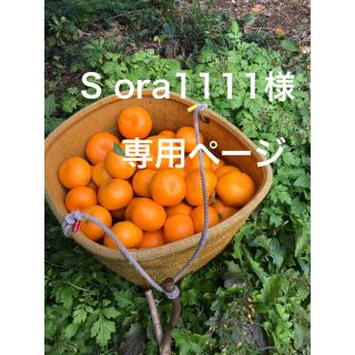 S ora 1111 様　専用ページ(フルーツ)