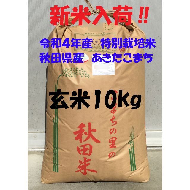 秋田県産あきたこまち(検査1等米)玄米10kg　令和4年産　精米無料　特別栽培米　米