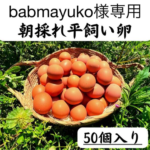 babmayuko様専用　50個入り　宮下養鶏の朝採れ平飼い卵 食品/飲料/酒の食品(その他)の商品写真