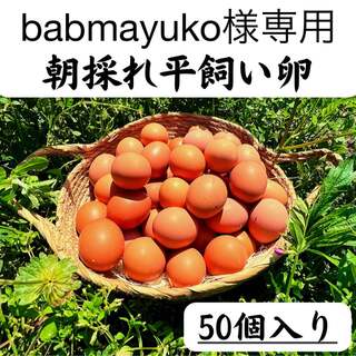 babmayuko様専用　50個入り　宮下養鶏の朝採れ平飼い卵(その他)