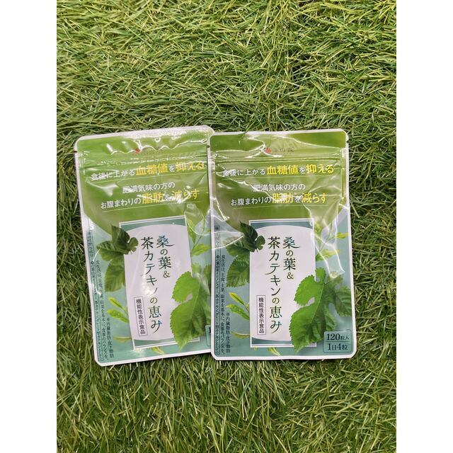 和漢の森　桑の葉茶カテキンの恵み 120粒入×2袋