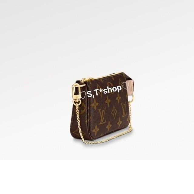 LOUIS VUITTON ミニ・ポシェット・アクセソワール M58009