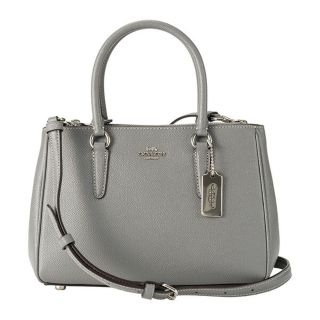 コーチ(COACH)の新品 コーチ COACH ハンドバッグ ミニ キャリーオール グレー(ハンドバッグ)