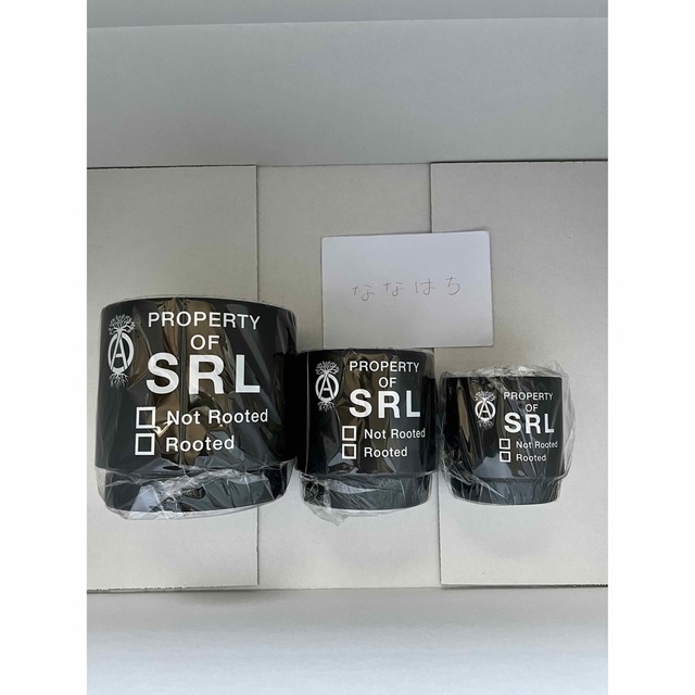 限定セール SRL STRAIGHTTYPE PLANT POT