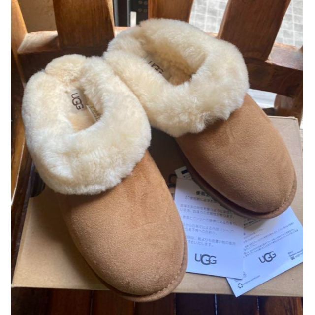 UGG - 完売しました。。。。。✨25⇒24～25✨UGG✨Cluggette